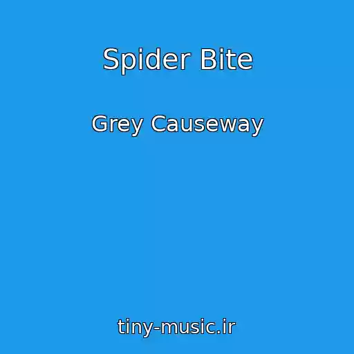 کاور آهنگ Spider Bite از Grey Causeway