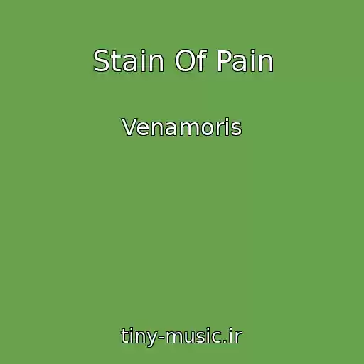 کاور آهنگ Stain Of Pain از Venamoris