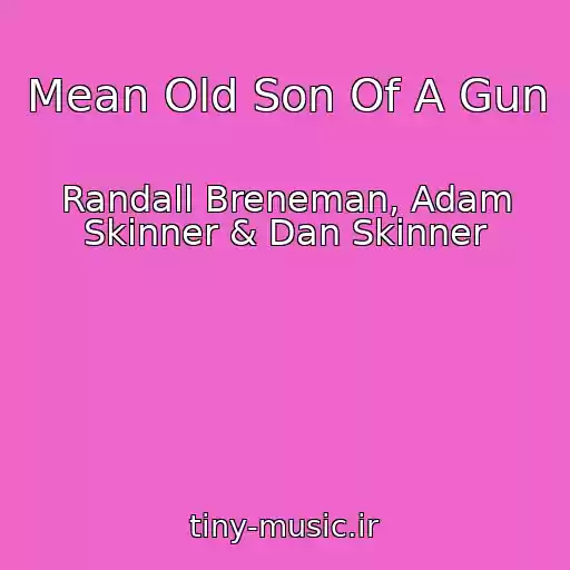 کاور آهنگ Mean Old Son Of A Gun از Randall Breneman, Adam Skinner & Dan Skinner