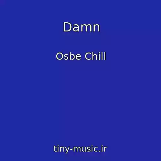 کاور آهنگ Damn از Osbe Chill