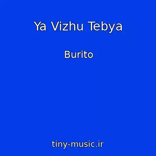 کاور آهنگ Ya Vizhu Tebya از Burito