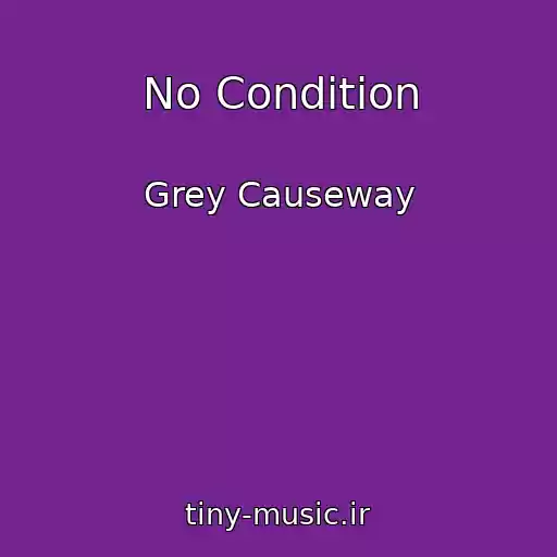 کاور آهنگ No Condition از Grey Causeway