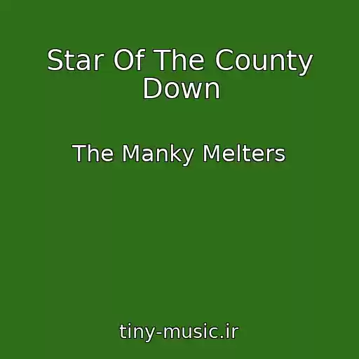 کاور آهنگ Star Of The County Down از The Manky Melters