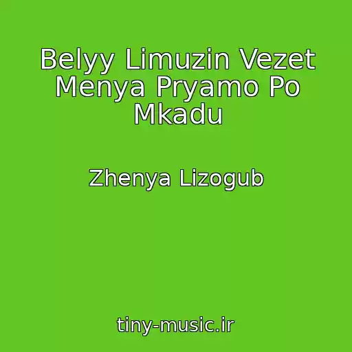 کاور آهنگ Belyy Limuzin Vezet Menya Pryamo Po Mkadu از Zhenya Lizogub