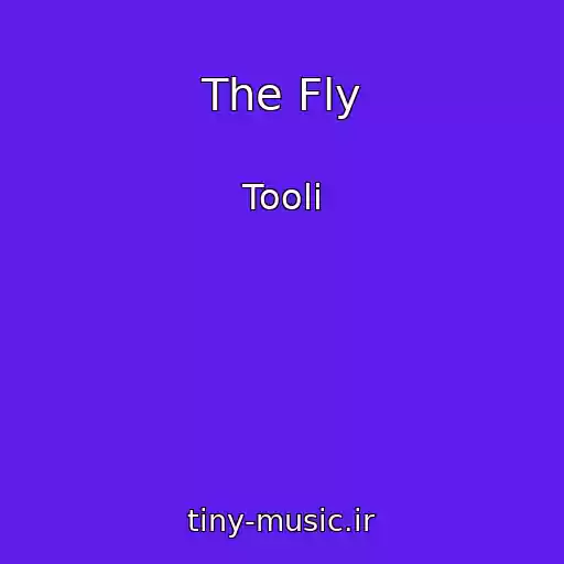 کاور آهنگ The Fly از Tooli