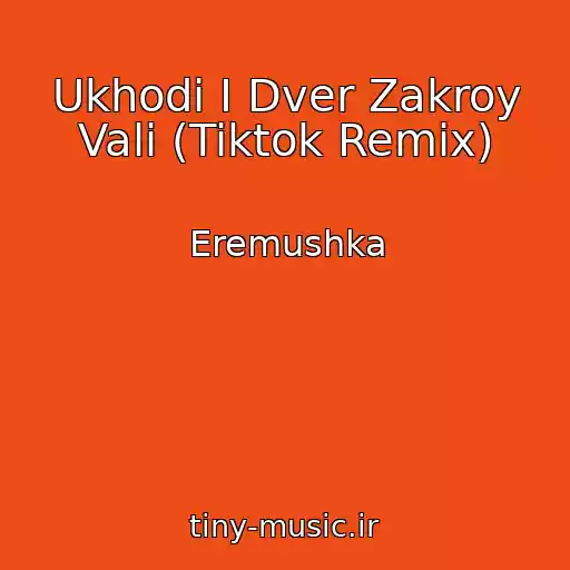 کاور آهنگ Ukhodi I Dver Zakroy Vali (Tiktok Remix) از Eremushka