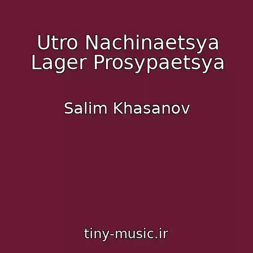 کاور آهنگ Utro Nachinaetsya Lager Prosypaetsya از Salim Khasanov