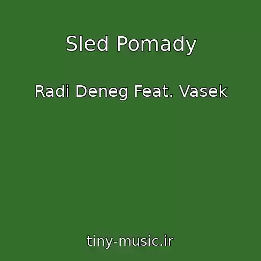 کاور آهنگ Sled Pomady از Radi Deneg Feat. Vasek