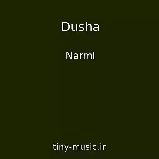 کاور آهنگ Dusha از Narmi