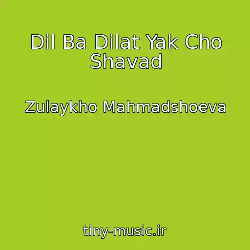 کاور آهنگ Dil Ba Dilat Yak Cho Shavad از Zulaykho Mahmadshoeva