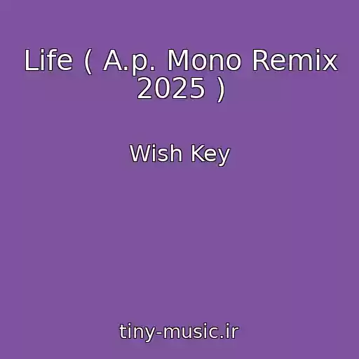 کاور آهنگ Life ( A.p. Mono Remix 2025 ) از Wish Key