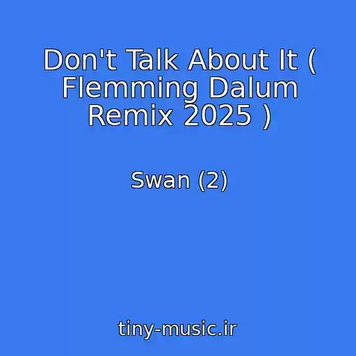 کاور آهنگ Don't Talk About It ( Flemming Dalum Remix 2025 ) از Swan (2)