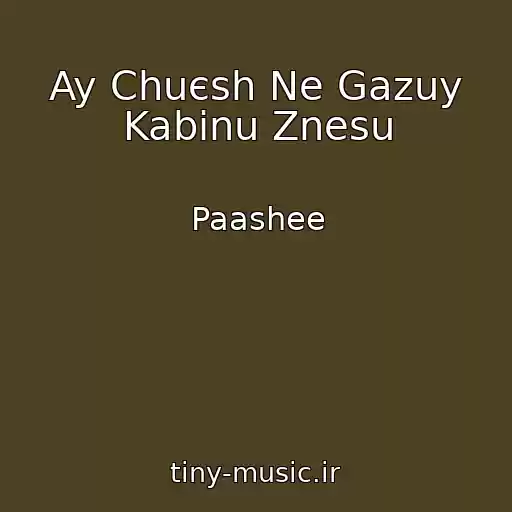 کاور آهنگ Ay Chuєsh Ne Gazuy Kabіnu Znesu از Paashee