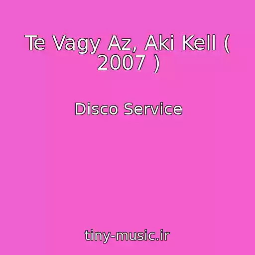 کاور آهنگ Te Vagy Az, Aki Kell ( 2007 ) از Disco Service