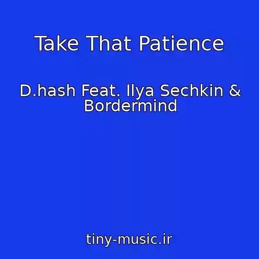کاور آهنگ Take That Patience از D.hash Feat. Ilya Sechkin & Bordermind