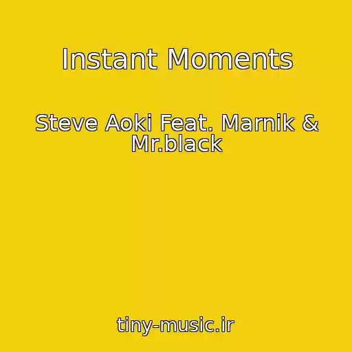 کاور آهنگ Instant Moments از Steve Aoki Feat. Marnik & Mr.black