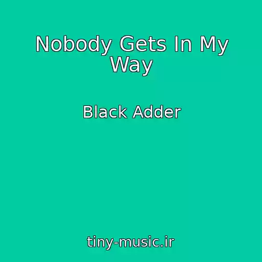 کاور آهنگ Nobody Gets In My Way از Black Adder