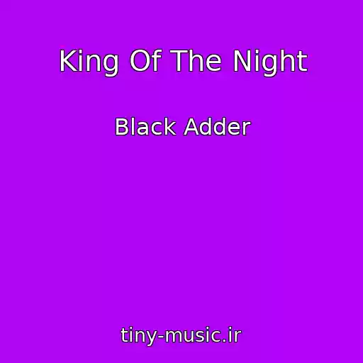 کاور آهنگ King Of The Night از Black Adder