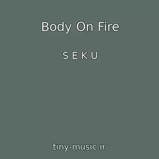 کاور آهنگ Body On Fire از S E K U
