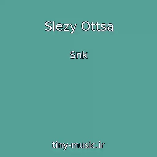 کاور آهنگ Slezy Ottsa از Snk