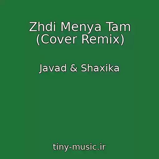 کاور آهنگ Zhdi Menya Tam (Cover Remix) از Javad & Shaxika