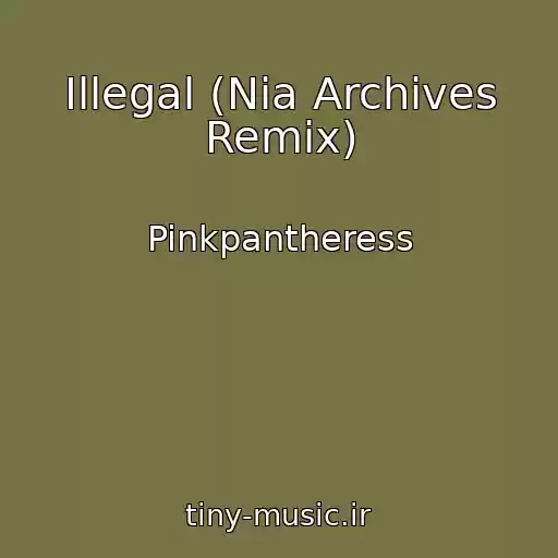 کاور آهنگ Illegal (Nia Archives Remix) از Pinkpantheress