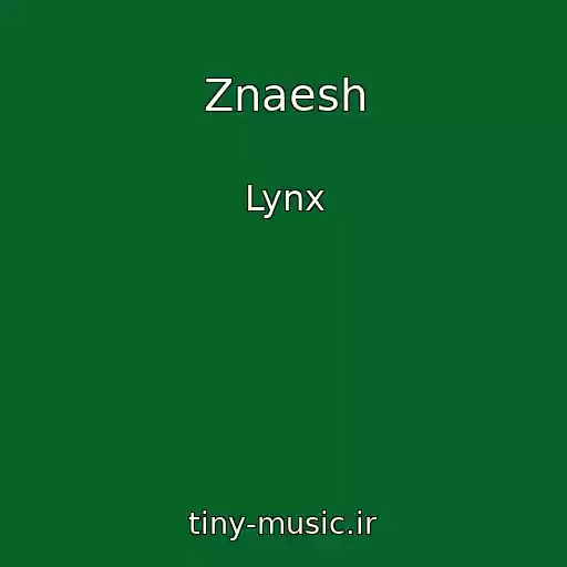 کاور آهنگ Znaesh از Lynx