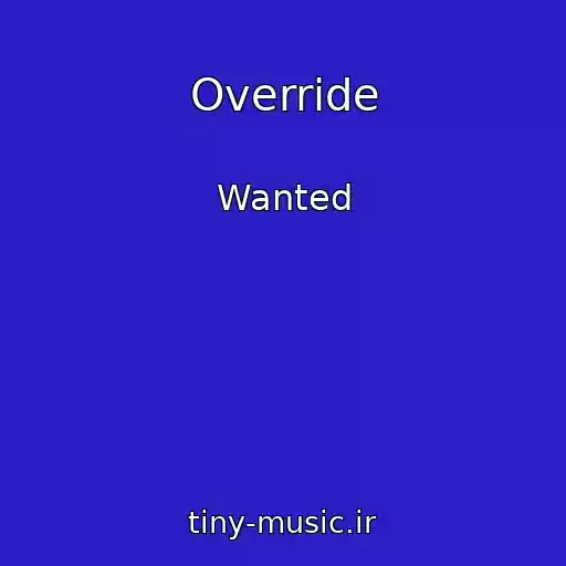 کاور آهنگ Override از Wanted