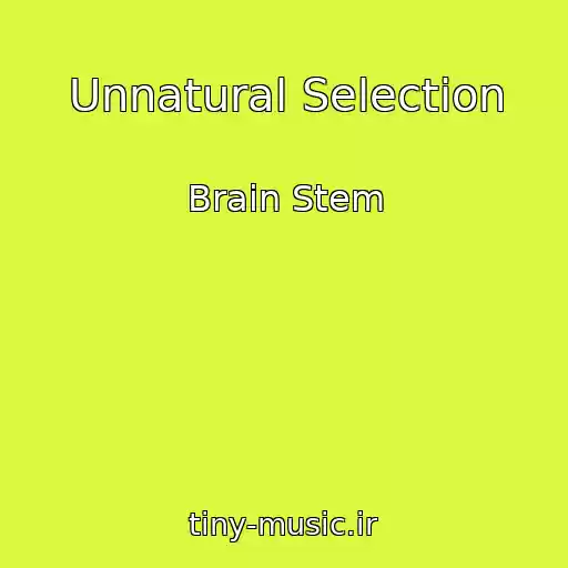 کاور آهنگ Unnatural Selection از Brain Stem