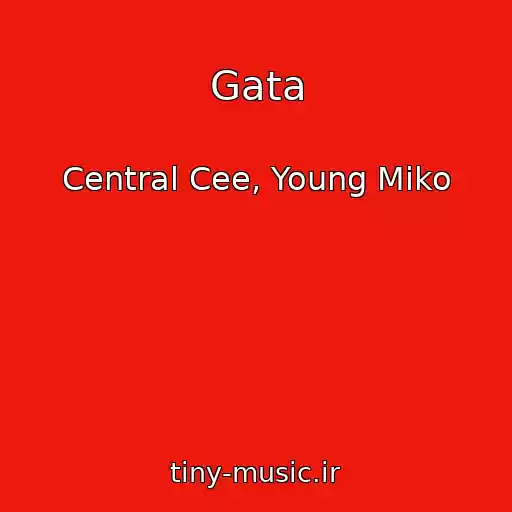 کاور آهنگ Gata از Central Cee, Young Miko