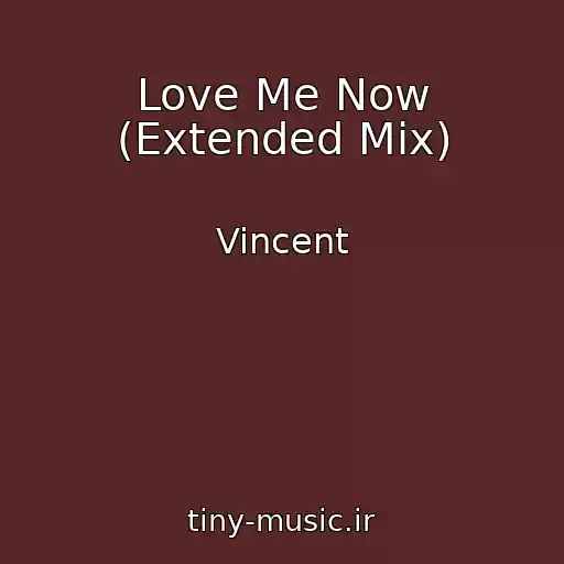 کاور آهنگ Love Me Now (Extended Mix) از Vincent