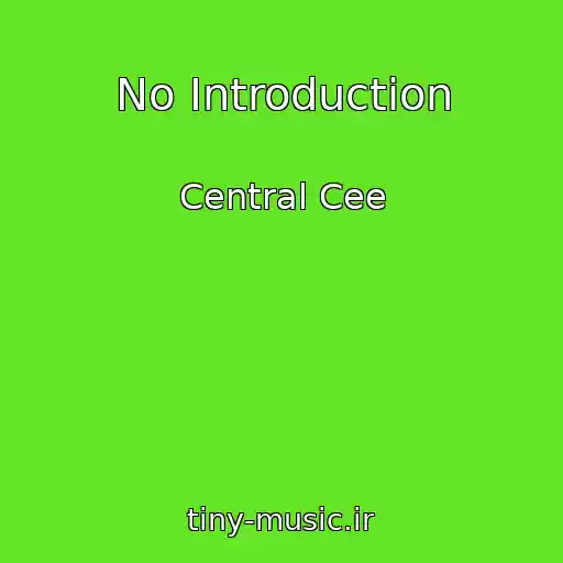 کاور آهنگ No Introduction از Central Cee