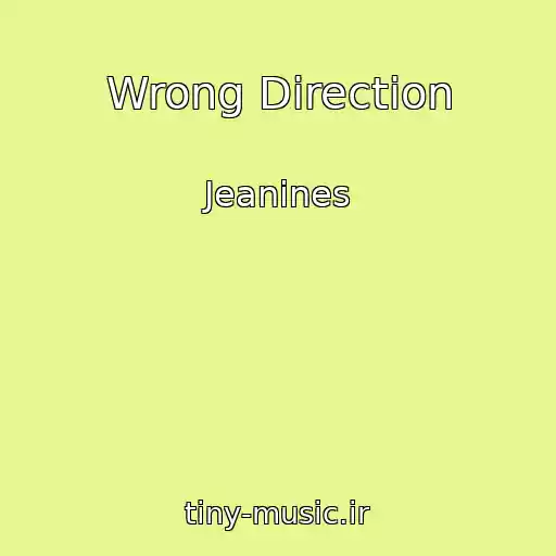 کاور آهنگ Wrong Direction از Jeanines