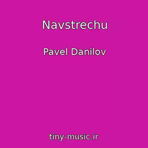 کاور آهنگ Navstrechu از Pavel Danilov