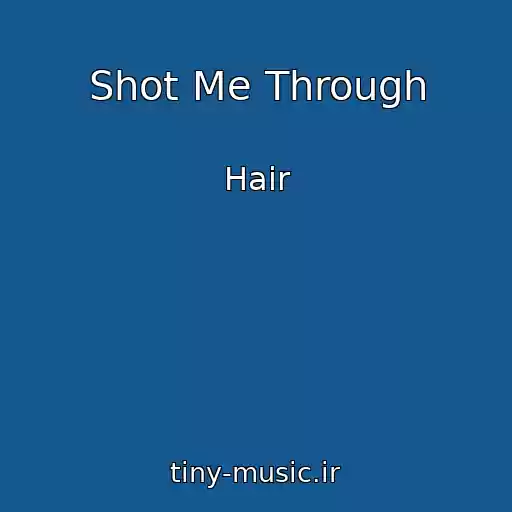 کاور آهنگ Shot Me Through از Hair