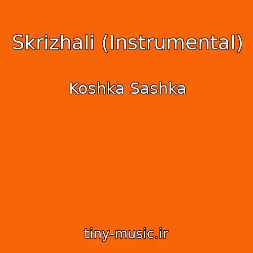 کاور آهنگ Skrizhali (Instrumental) از Koshka Sashka