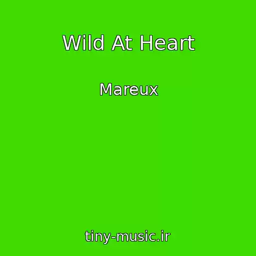 کاور آهنگ Wild At Heart از Mareux