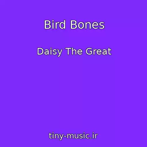 کاور آهنگ Bird Bones از Daisy The Great