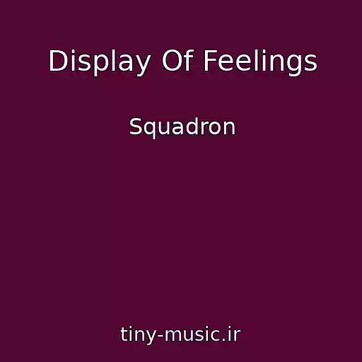 کاور آهنگ Display Of Feelings از Squadron