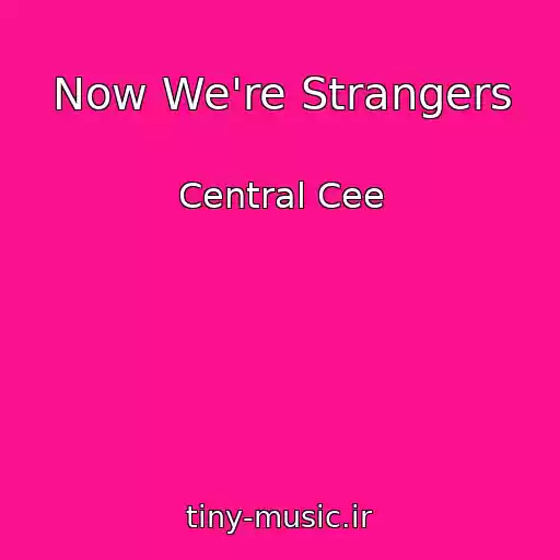 کاور آهنگ Now We're Strangers از Central Cee