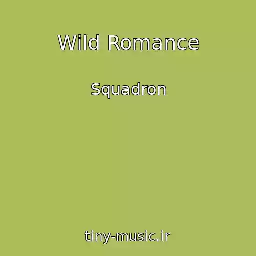 کاور آهنگ Wild Romance از Squadron