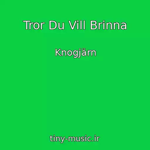کاور آهنگ Tror Du Vill Brinna از Knogjärn