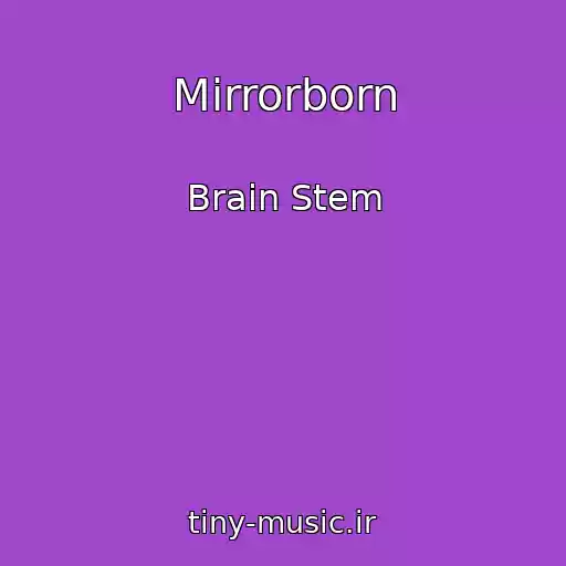 کاور آهنگ Mirrorborn از Brain Stem