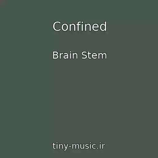 کاور آهنگ Confined از Brain Stem