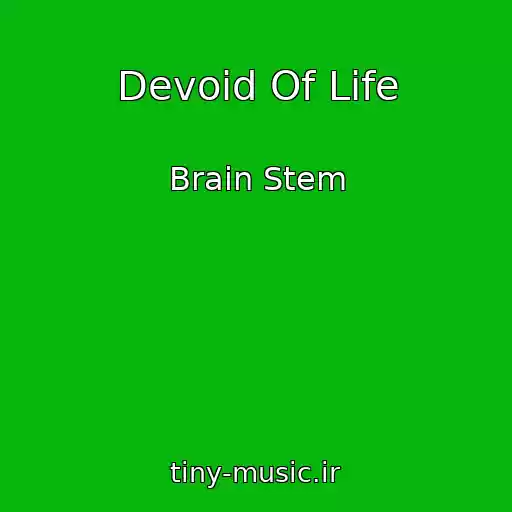 کاور آهنگ Devoid Of Life از Brain Stem