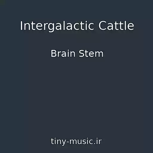 کاور آهنگ Intergalactic Cattle از Brain Stem