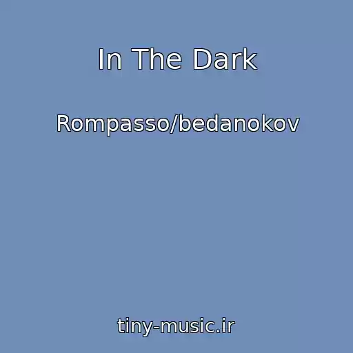 کاور آهنگ In The Dark از Rompasso/bedanokov