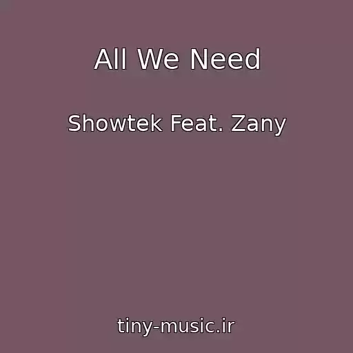 کاور آهنگ All We Need از Showtek Feat. Zany