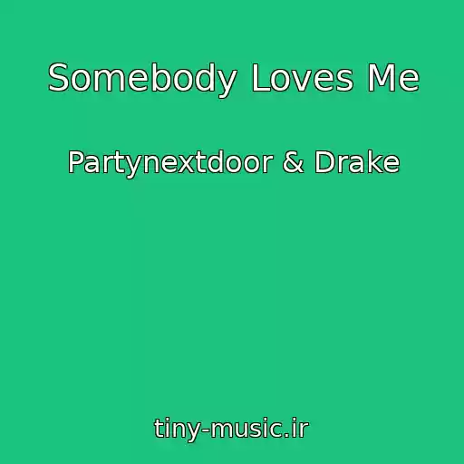 کاور آهنگ Somebody Loves Me از Partynextdoor & Drake