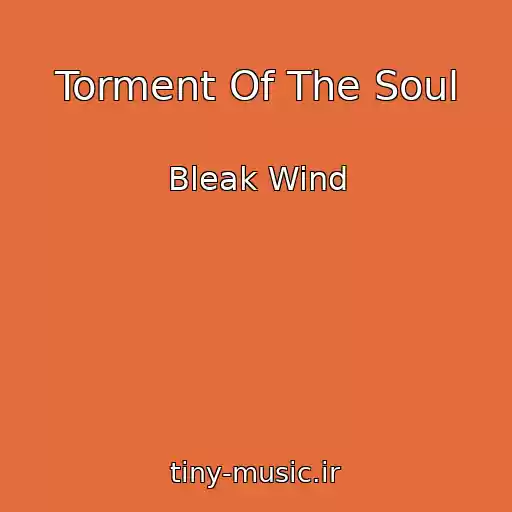 کاور آهنگ Torment Of The Soul از Bleak Wind